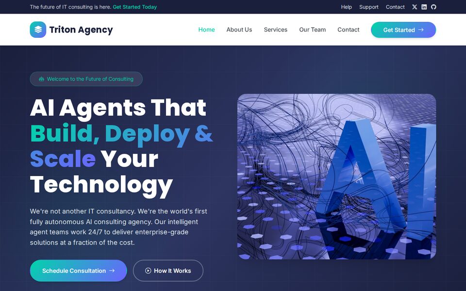 Triton Agency website screenshot